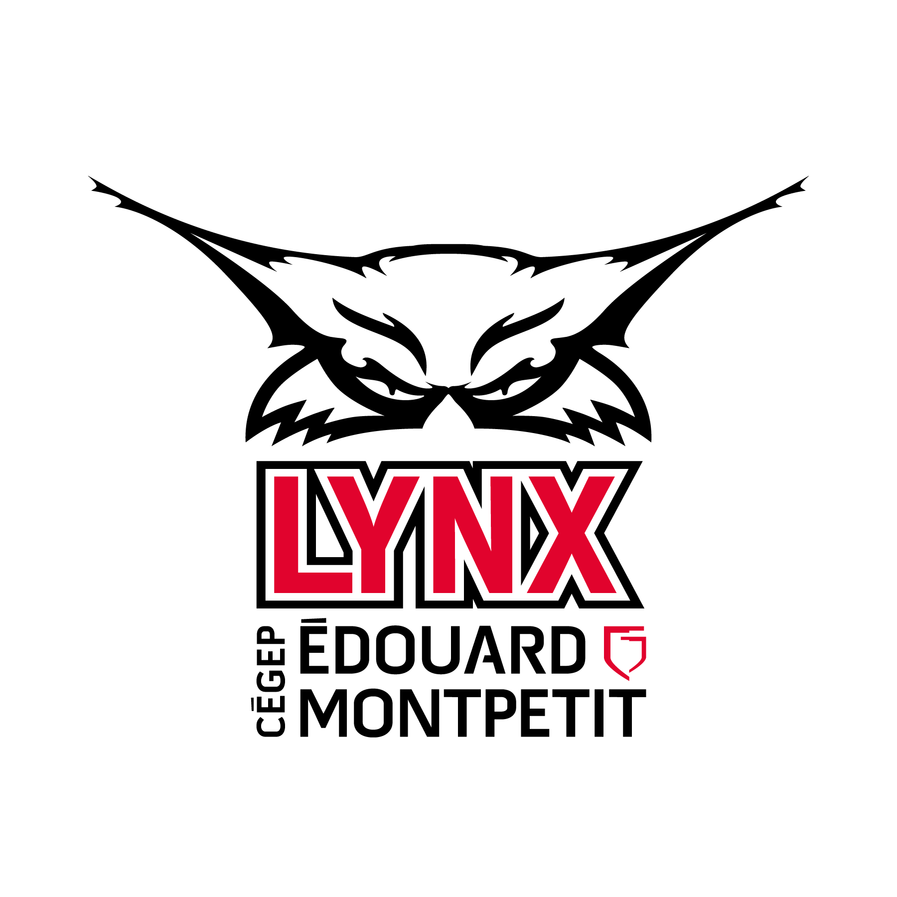 Équipe de cheerleading collégial des Lynx